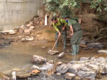  Biólogos fazendo busca ativa para resgate de peixes e demais organismos.