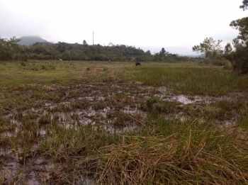  Visita a campo para realização de serviços de Geofísica e coleta de solos em Itapoá - SC.