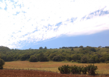  Área em estudo para instalação de painéis fotovoltaicos no município de Formosa do Sul (SC).