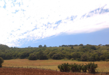  Área em estudo para instalação de painéis fotovoltaicos no município de São Miguel do Oeste (SC).