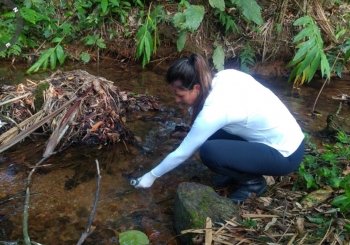  Coleta de água em riacho de Botuverá, Vale do Itajaí.