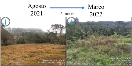  Imagem à esquerda em Agosto de 2021 e a direita imagem de Março de 2022. 