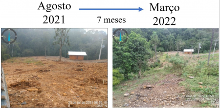  Imagem à esquerda em Agosto de 2021 e a direita imagem de Março de 2022. 