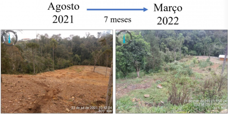  Imagem à esquerda em Agosto de 2021 e a direita imagem de Março de 2022. 