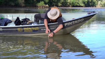  Coleta de água para análise de parâmetros físico-químicos no rio Ibicuí, Campos Novos (SC).