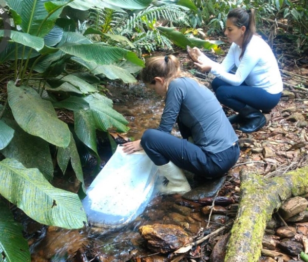 Feliz dia das Mulheres