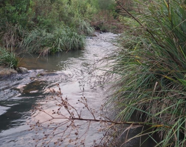 Dia Mundial da Água 